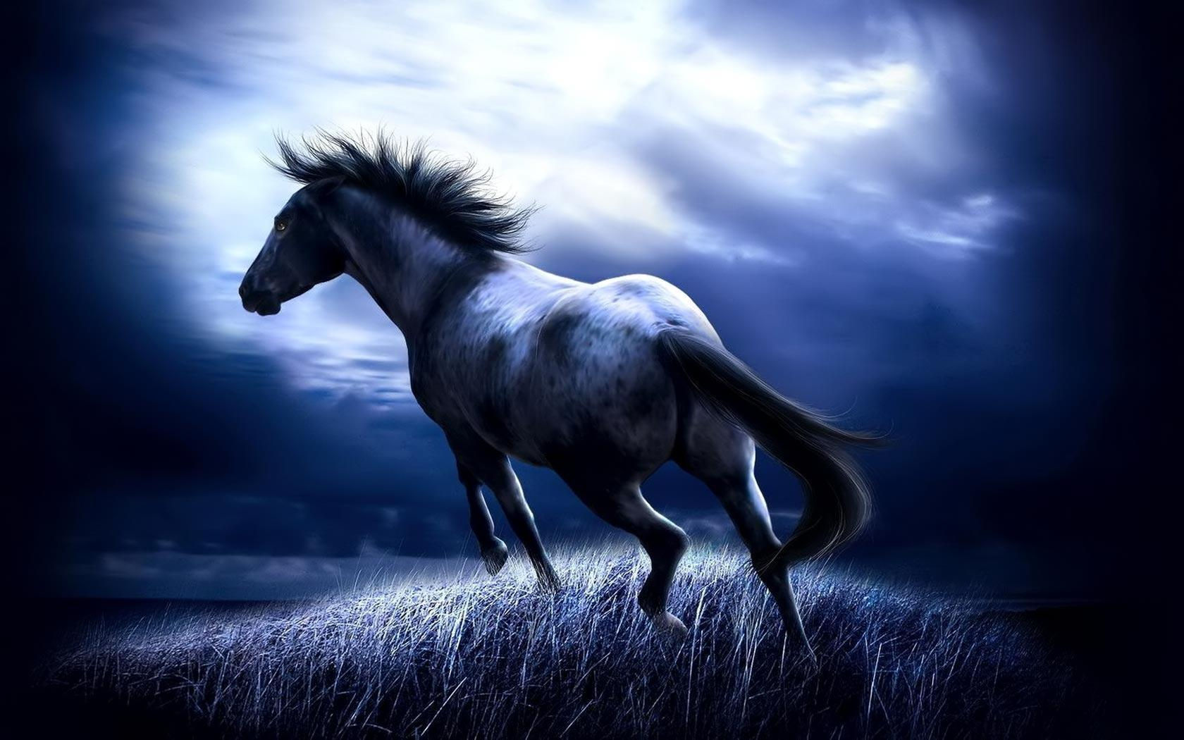 Wallpaper #Ln1h8I4Bnwiau_P6-Aaj23 Free Horse Screensavers and Wallpapers Wallpaper Cave