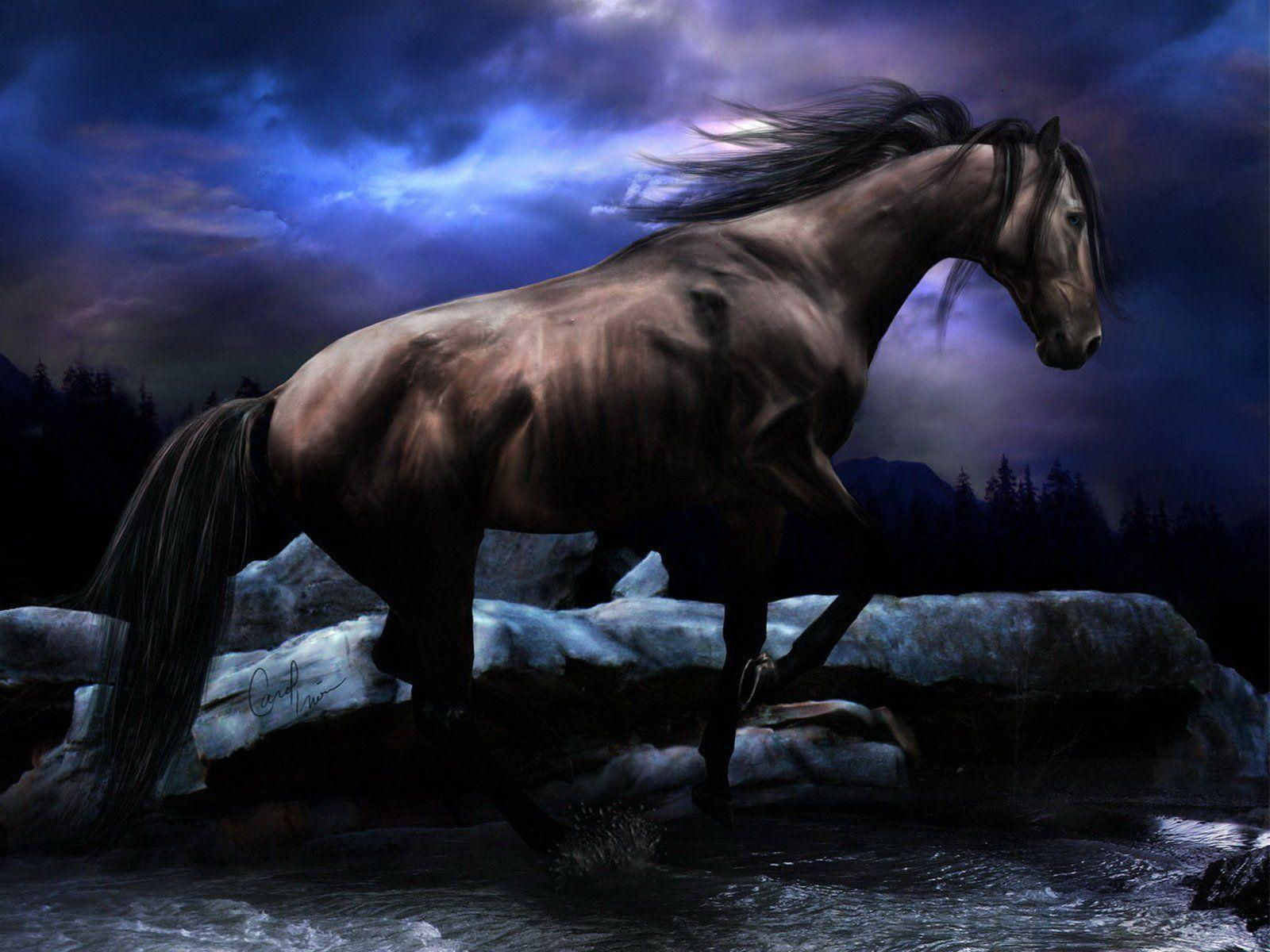 Wallpaper #bWfaEpMBSpphPi3-4_0h17 Black Horse Wallpapers Wallpaper Cave