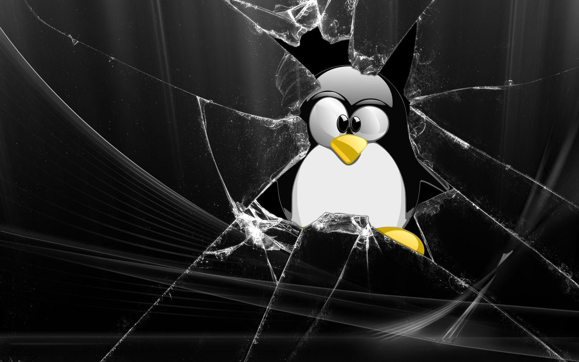 Wallpaper #aBm0EI8BtGB6xQ78j1_g38 Linux Tux Wallpapers Wallpaper Cave