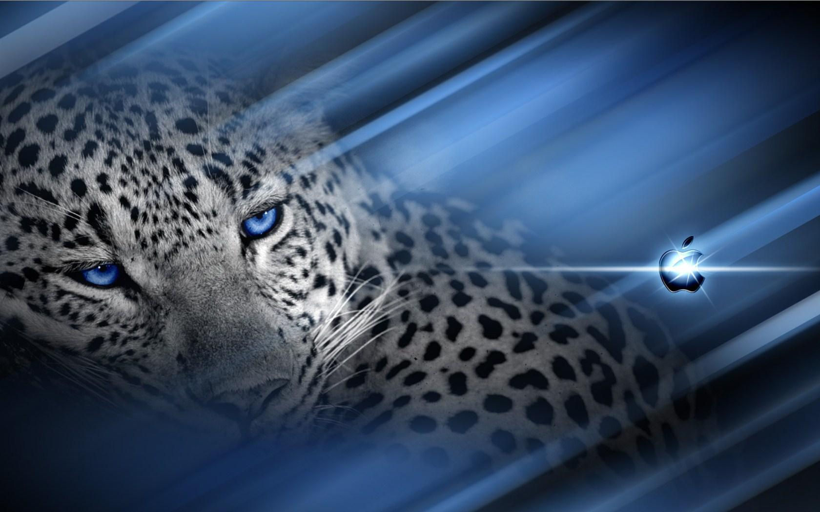 Wallpaper #WGjzIpMBSpphPi3-kzTY14 Wallpapers Cheetah Wallpaper Cave