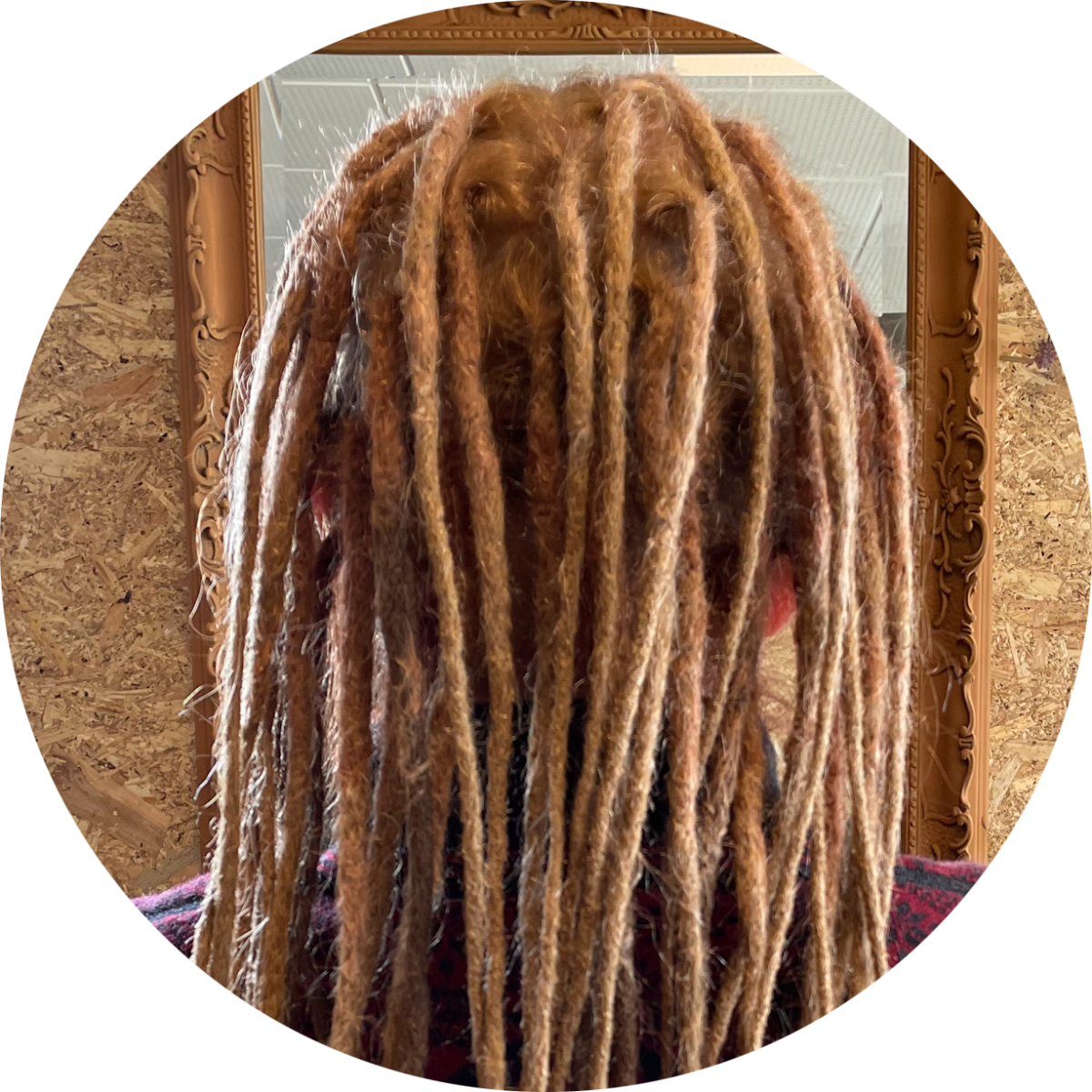 Wallpaper #fGd1AJMBSpphPi3-QqZu78 Maintaining New Dreadlocks How to Dreadheadshopcom