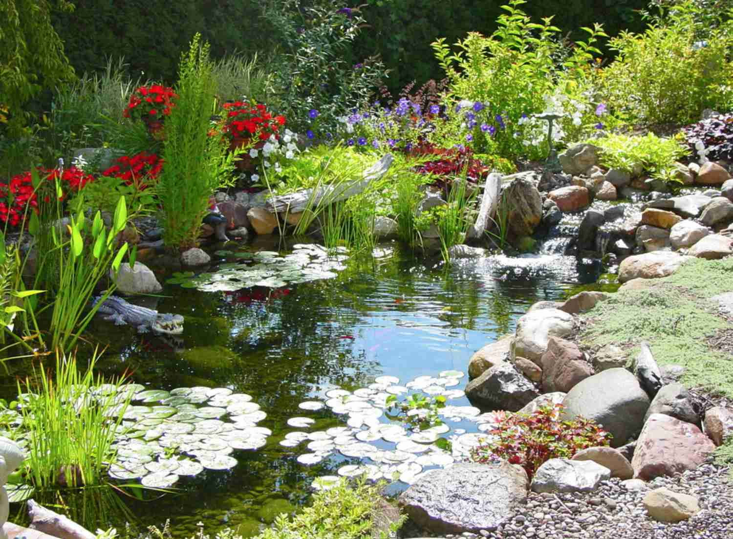 Wallpaper #rHfNJ5MB-pgBXx60M6f7256 Beauty of a Pond Higher Density Blog