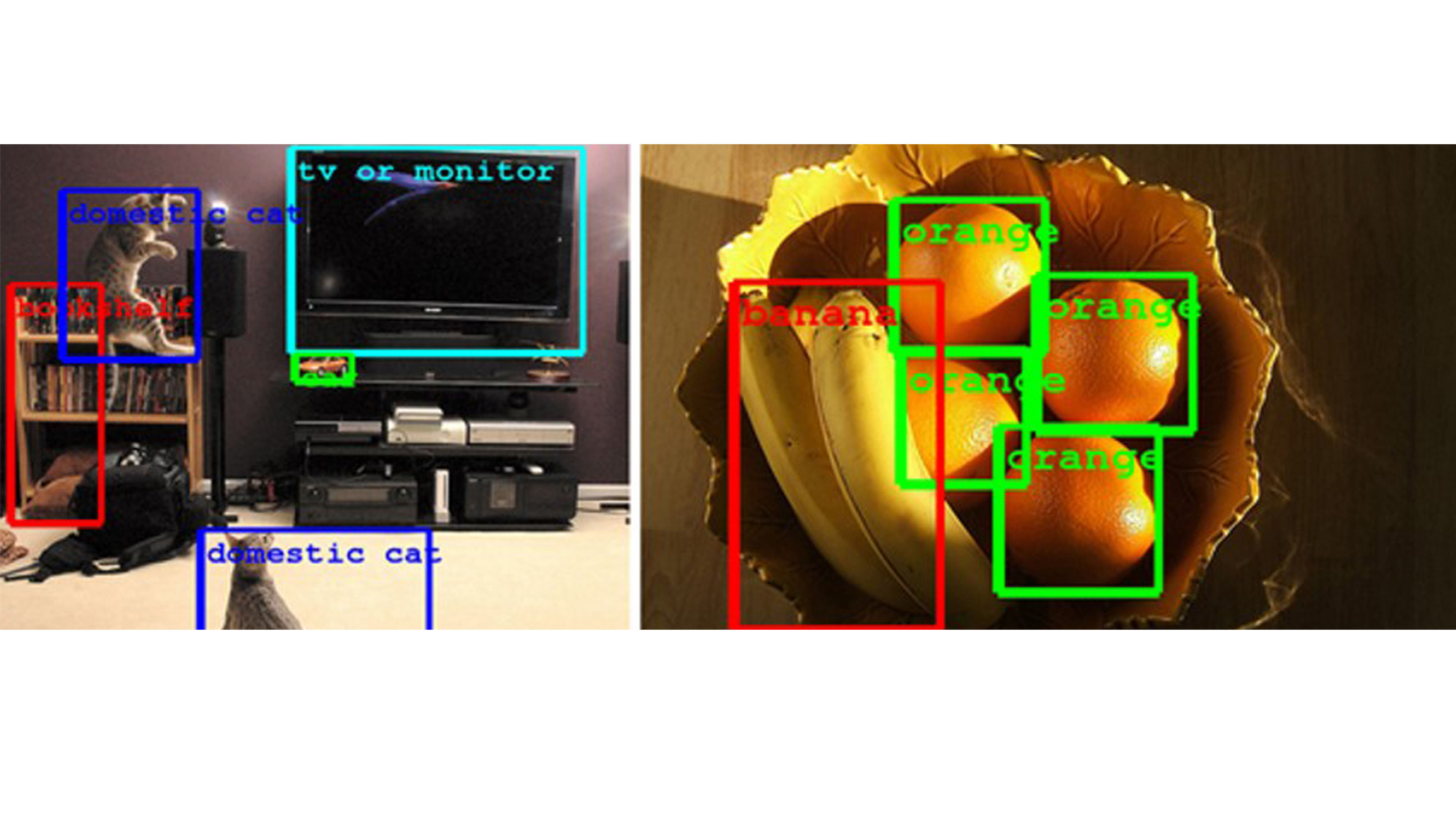 Wallpaper #daVCOJMBVBiSkHCaLY0v381 Machine Vision vs Computer Vision What is the Difference Zebra Zebra