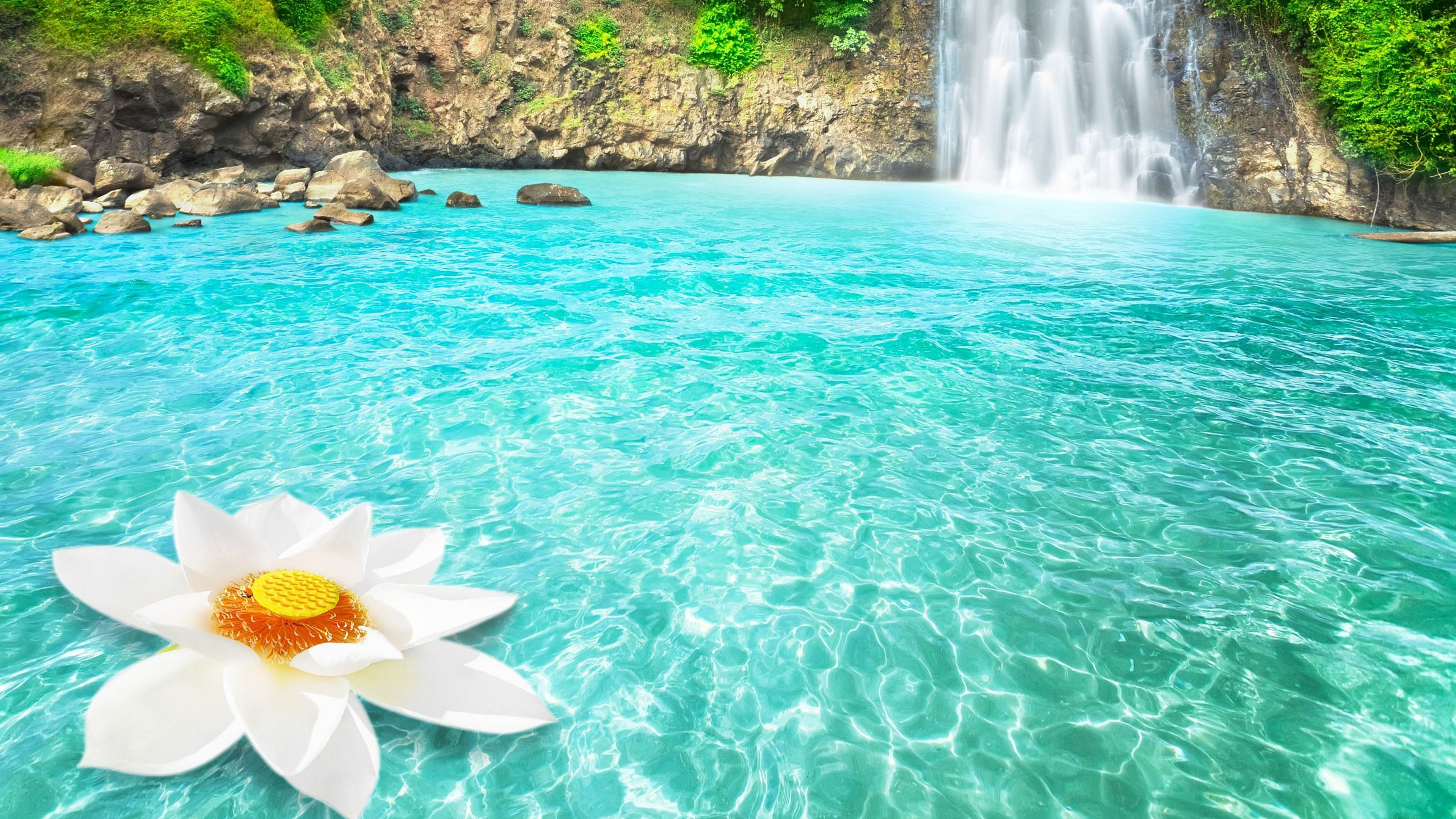 Wallpaper #IH1A9I4Bnwiau_P6jg9o49 Waterfall Flowers 4K HD Wallpapers HD Wallpapers Id 31587