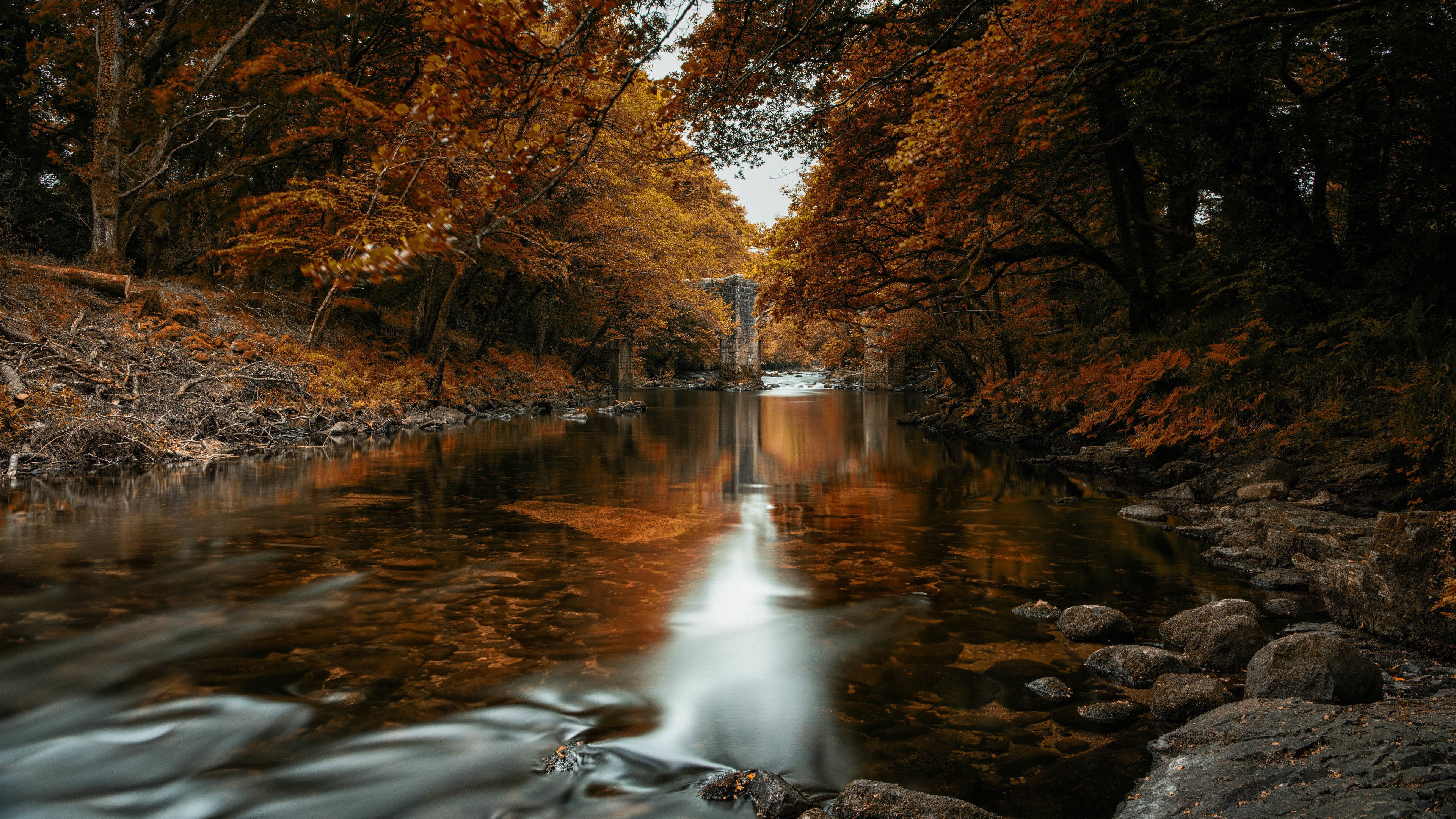 Wallpaper #2mhXIpMBSpphPi3-pTKE111 Fall in the River in Autumn Trees Forest 4K HD Nature Wallpapers HD