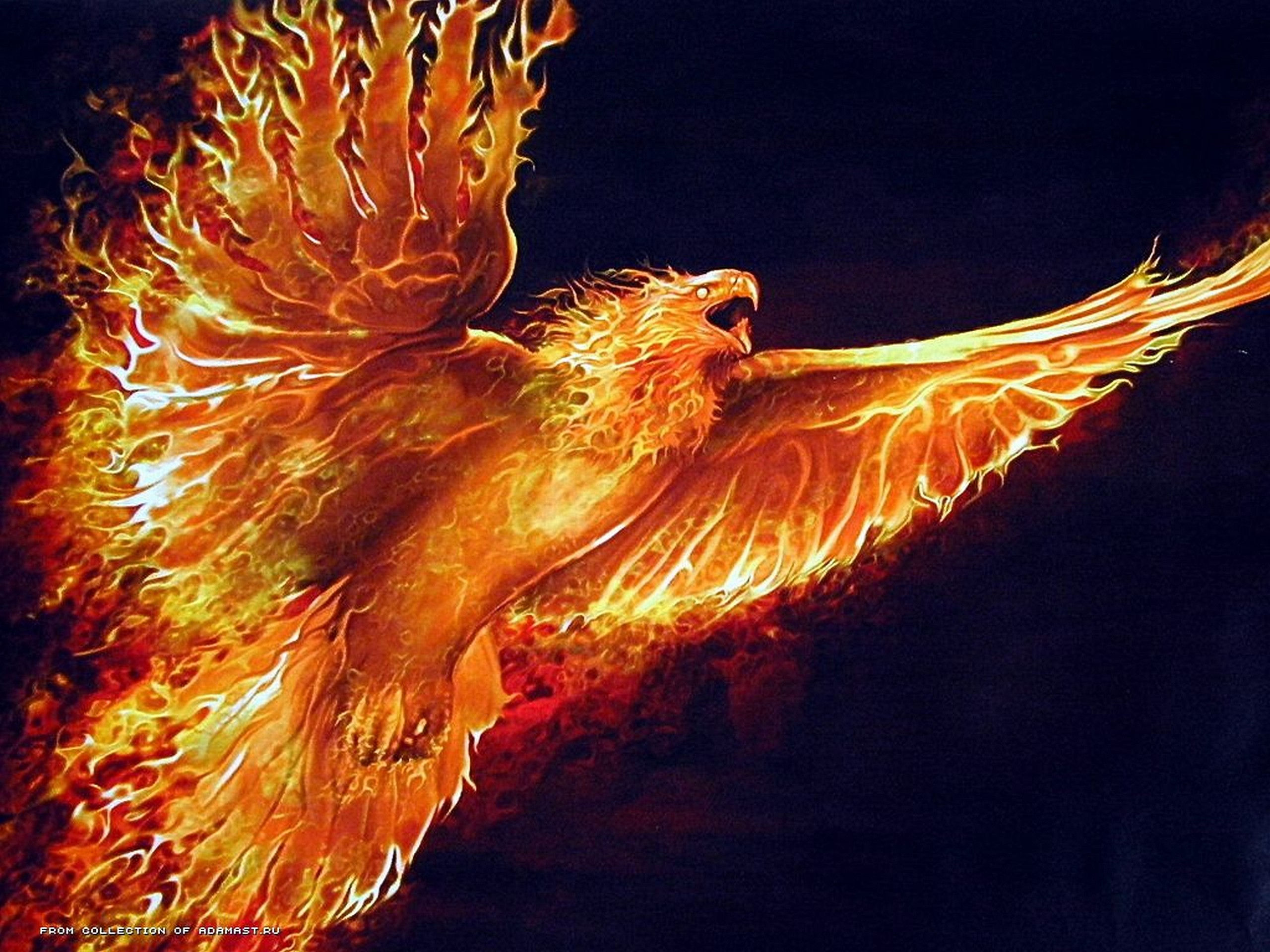 Wallpaper #2bc96 Image of a Majestic White Fire Phoenix on Craiyon