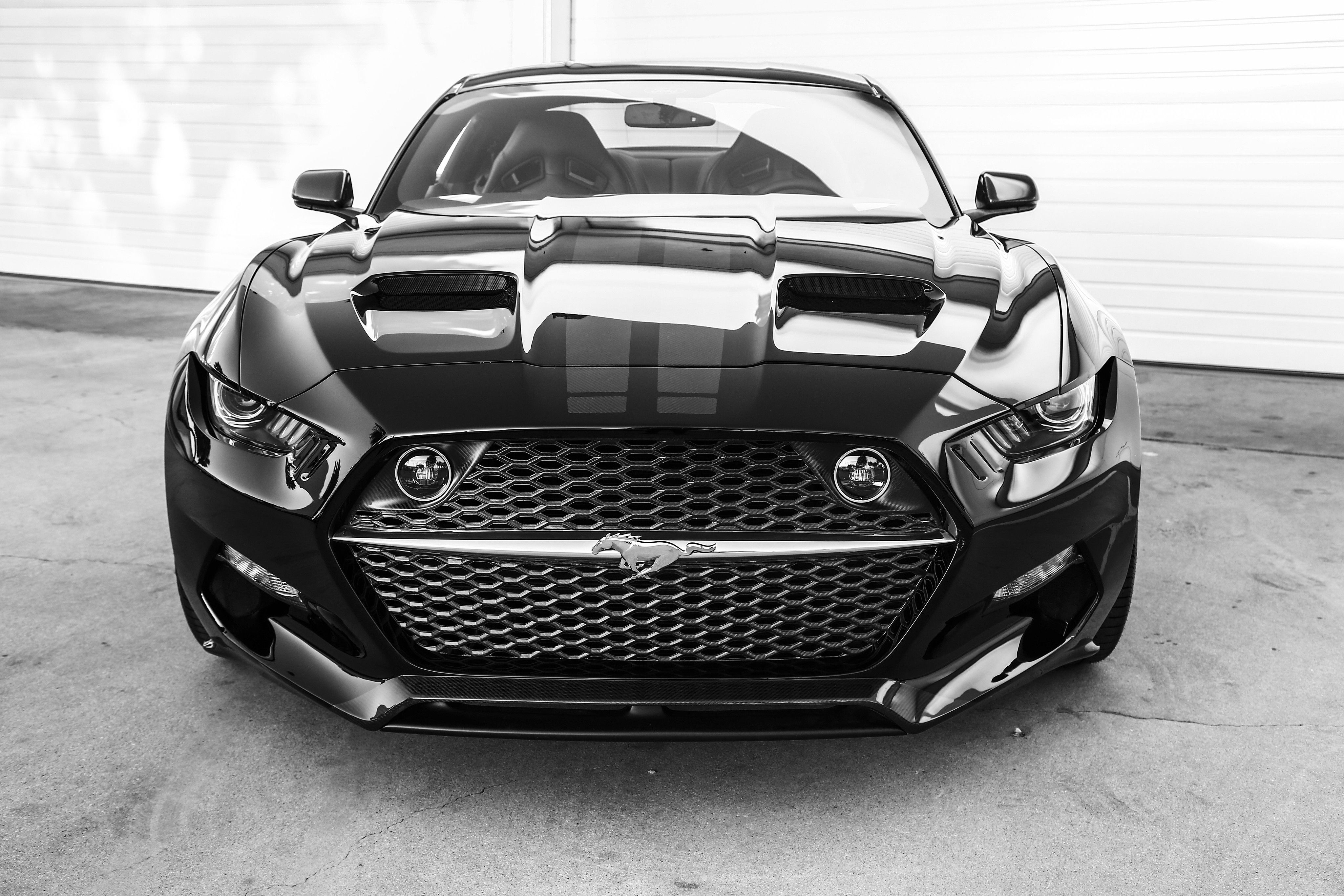 Wallpaper #JmiwH5MBSpphPi3-Jiwt257 Mustang Gt500 Ford Grey HD Wallpaper Rare Gallery