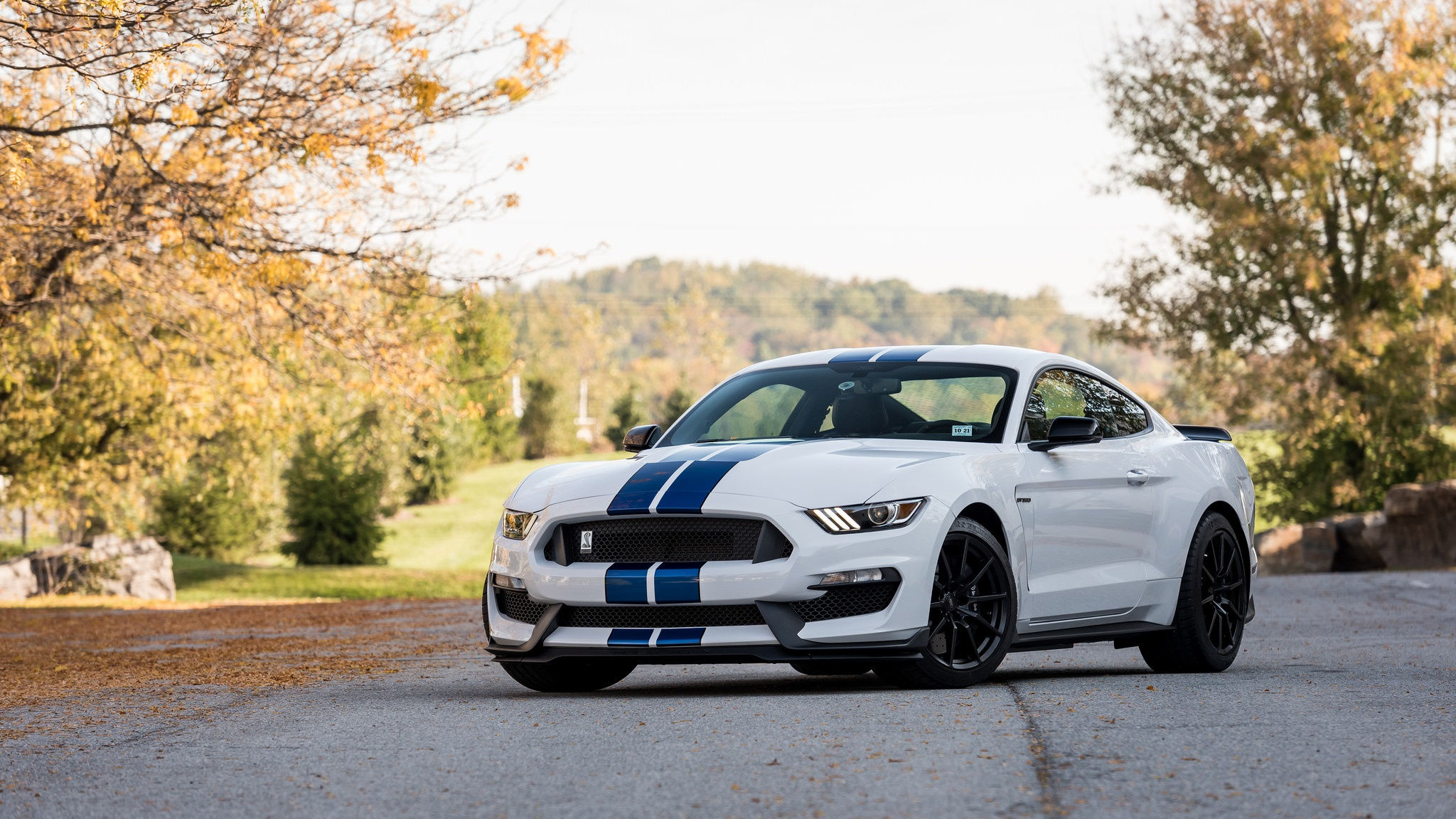 Wallpaper #SGiBHZMBSpphPi3-WyY7170 Ford Mustang Shelby Car Nature Shelby GT350 Depth of Field HD