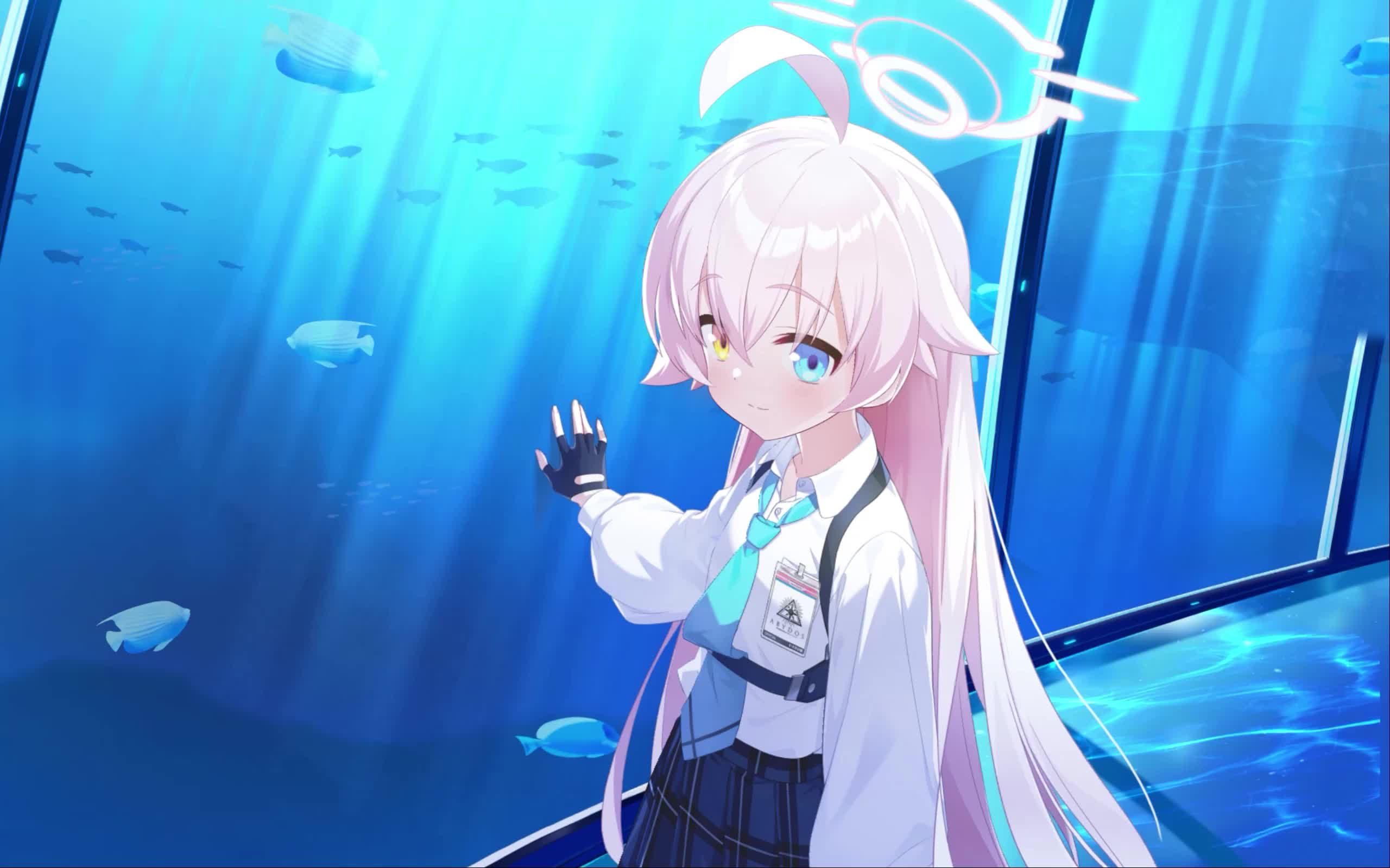 Wallpaper #Na7BM5MBayWjSq6HJRzN254 Hoshino Blue Archive Live Wallpaper 3840x2160