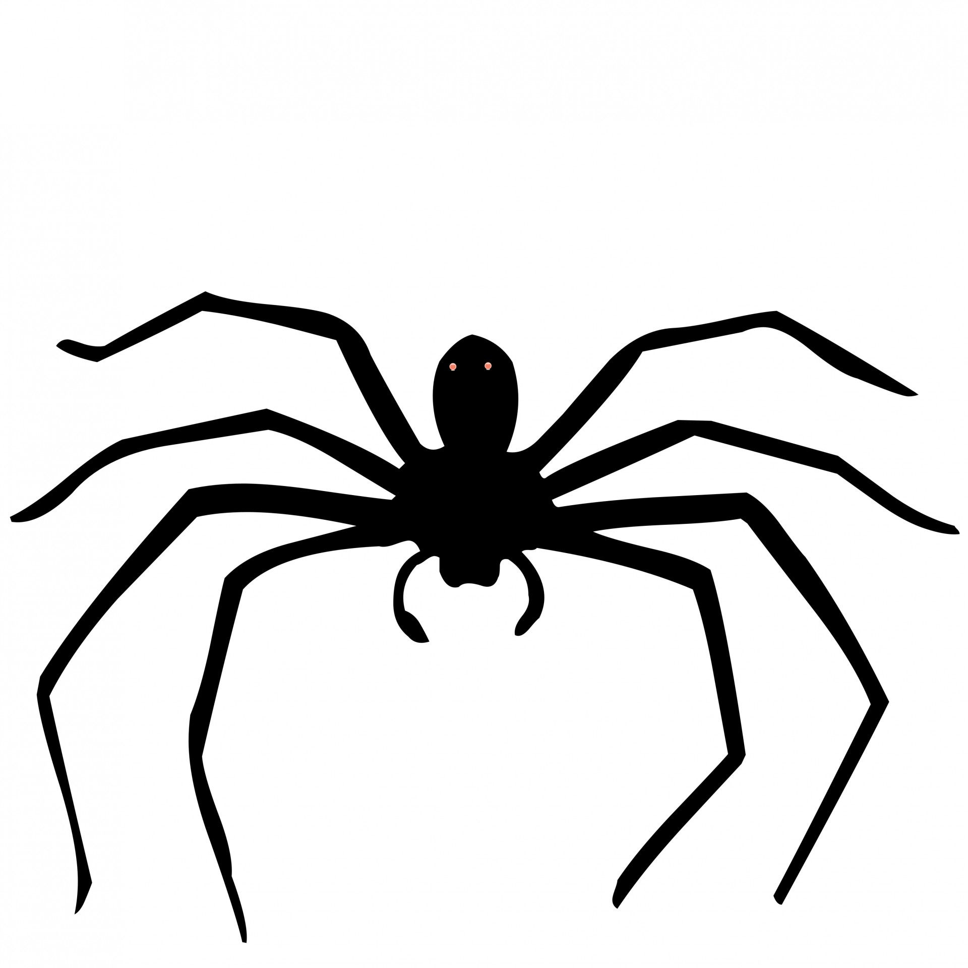 Wallpaper #R-_VS5MBMN-XEVvVKTxd150 Spider Free Stock Photo Public Domain Pictures