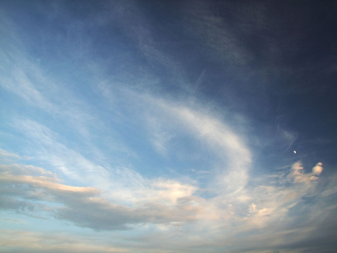 Wallpaper #2bc96 Image of a Majestic White Fire Phoenix on Craiyon