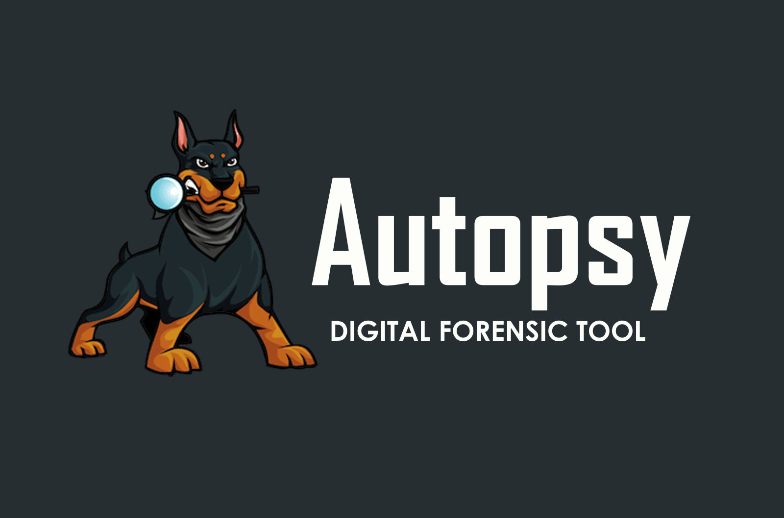 Wallpaper #EVhQNJMBzN9vxX34wTwW240 Seguridad Informatica Autopsy Una Herramienta Forense Digital