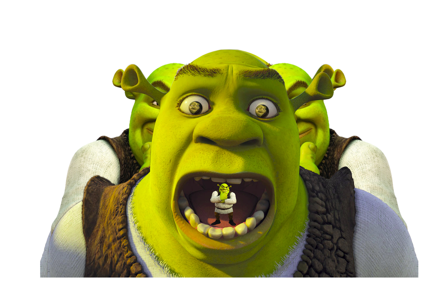 Wallpaper #11e69 Shrek Meme Templates Imgflip