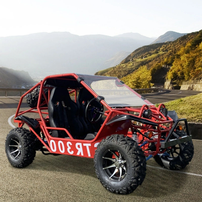 Wallpaper #7rkd35IBJvJKYCmEqAgx148 Oem 200cc Frame Adult Buggy Go Kart 2 Seater Petrol Off Road Go Kart