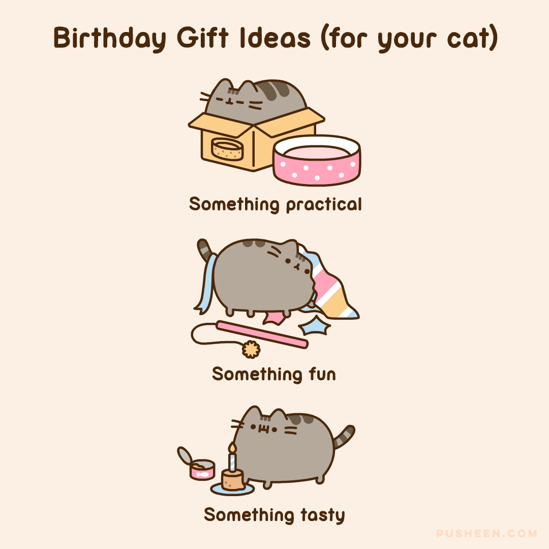 Wallpaper #-2jSE5MBSpphPi3-AgEt52 Cat Birthday Gifs