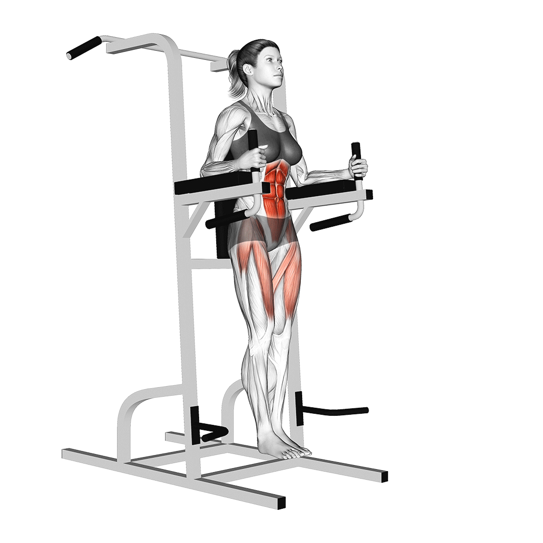 Wallpaper #hGcuDZMBSpphPi3-SeOZ373 Captains Chair Leg Raise Benefits Muscles Worked and More Inspire Us