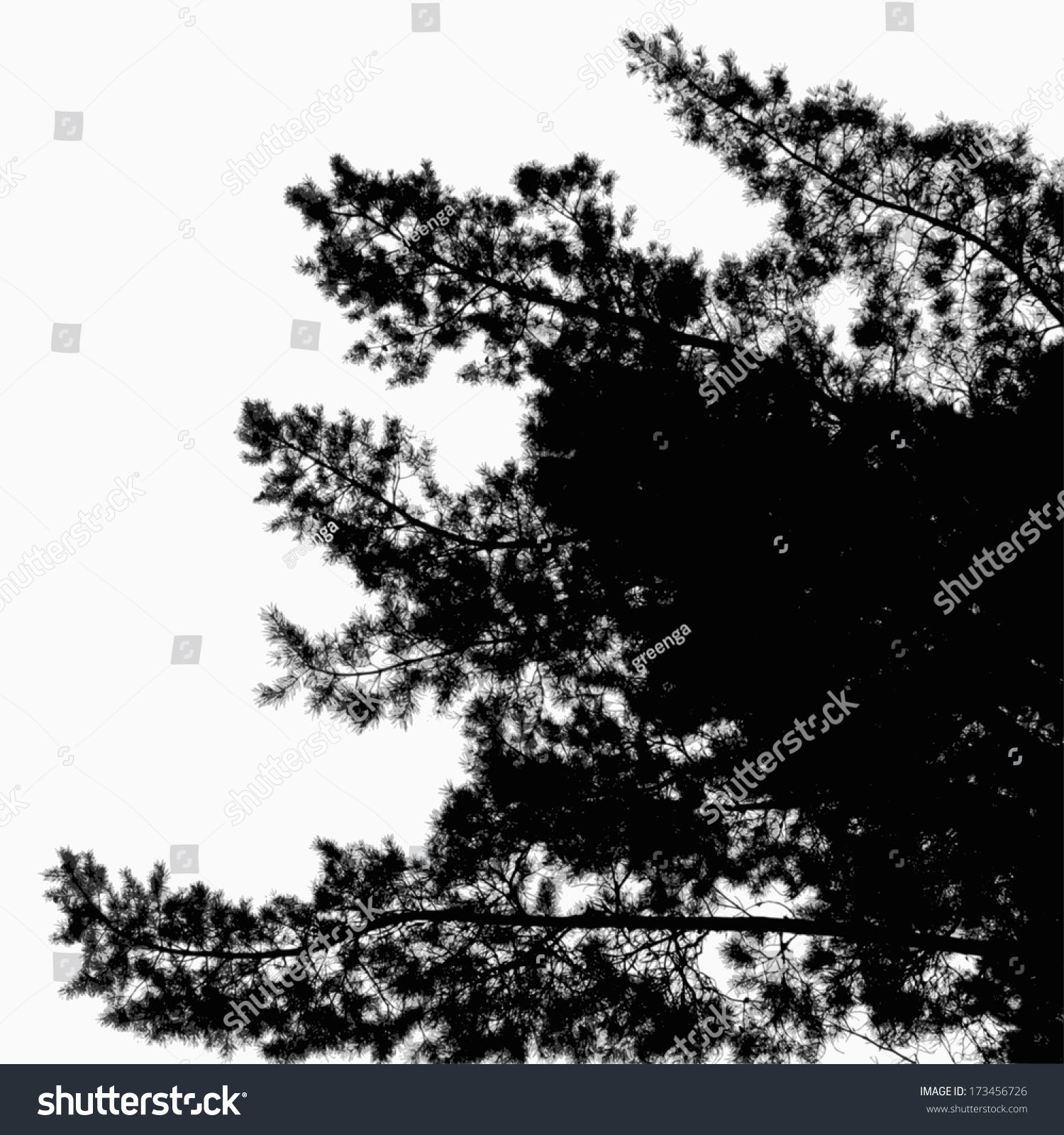 Wallpaper #BGdQC5MBSpphPi3-qtkV83 Abstract Background with Leaves Silhouette of Pine Tree Stock Vector
