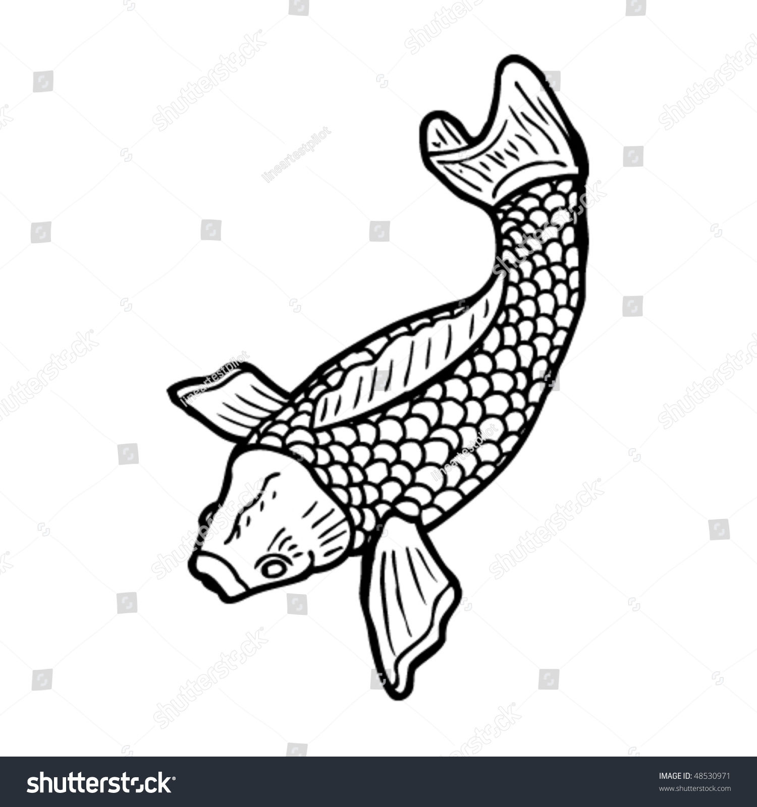 Wallpaper #5e6bc Black Yellow Koi Fish Fish Koi Tattoo Png and Vector with 5016 the
