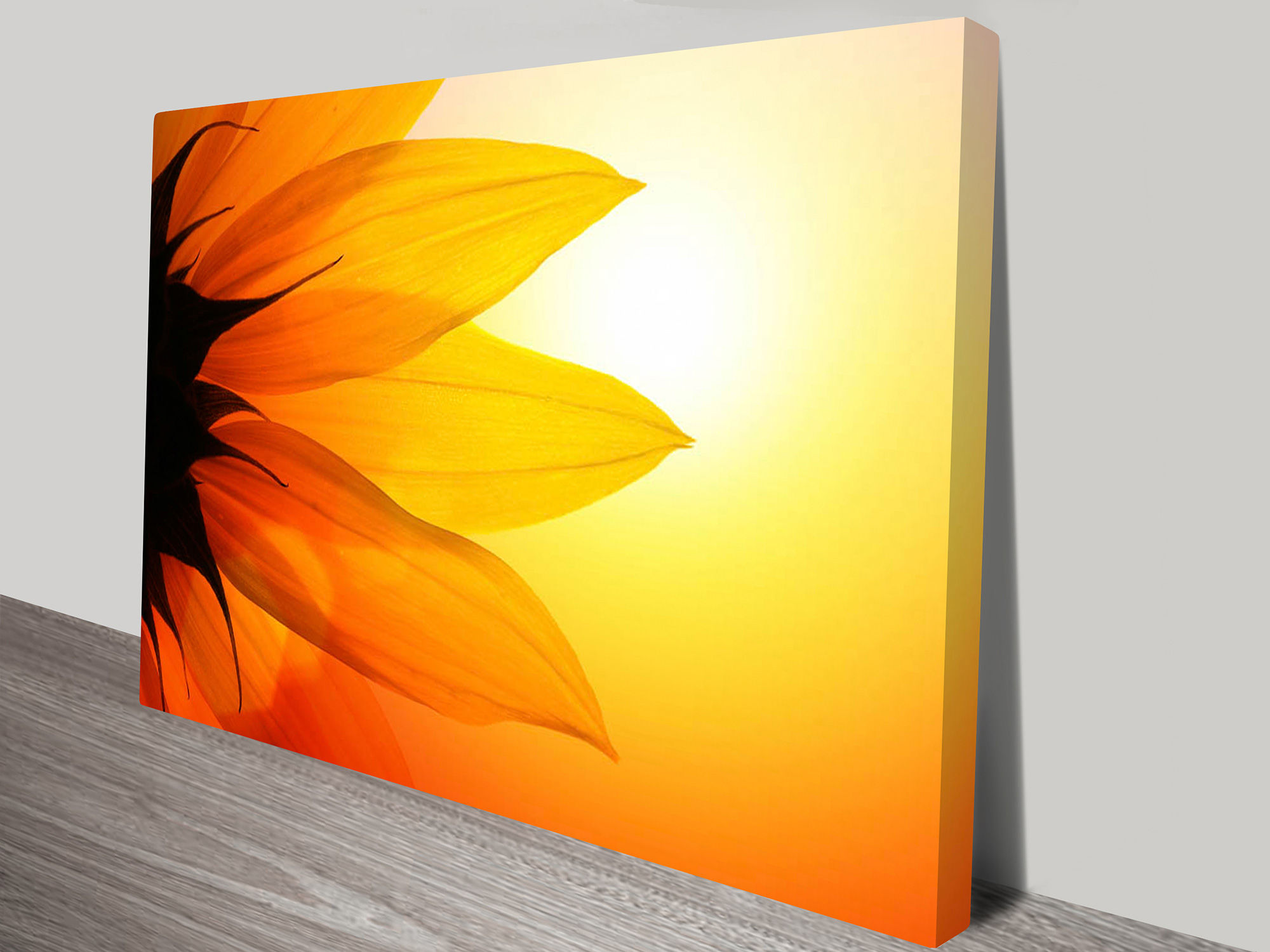 Wallpaper #W2g2IpMBSpphPi3-mTKk164 Flower of the Sun Canvas Art Print Canvas Prints Australia