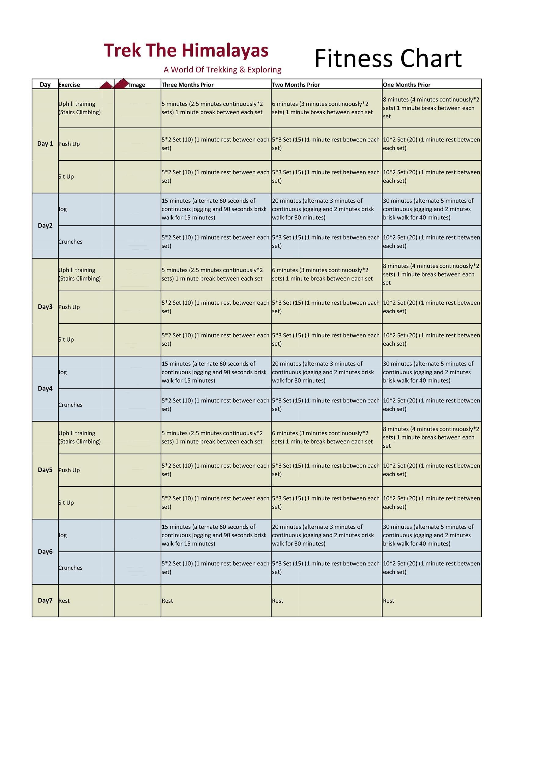 Wallpaper #FF7FB The Suspension Workout Chart Shows How to Do It and What You Can Do with It