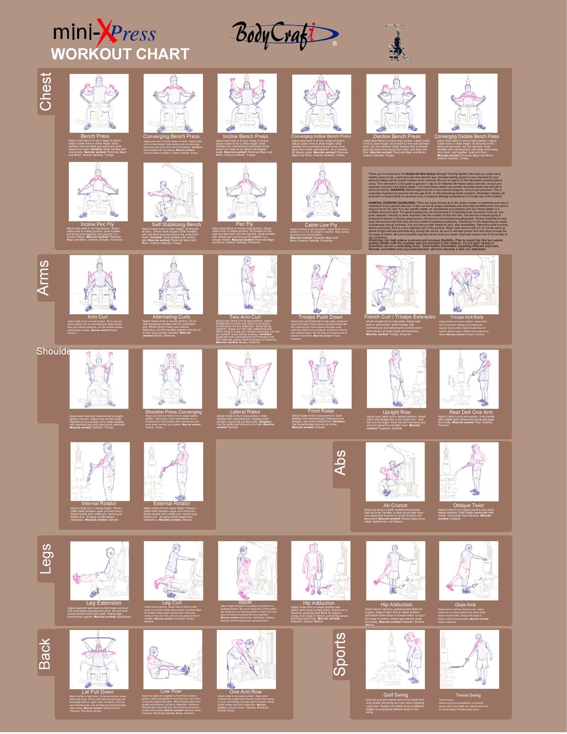 Wallpaper #FF7FB The Suspension Workout Chart Shows How to Do It and What You Can Do with It