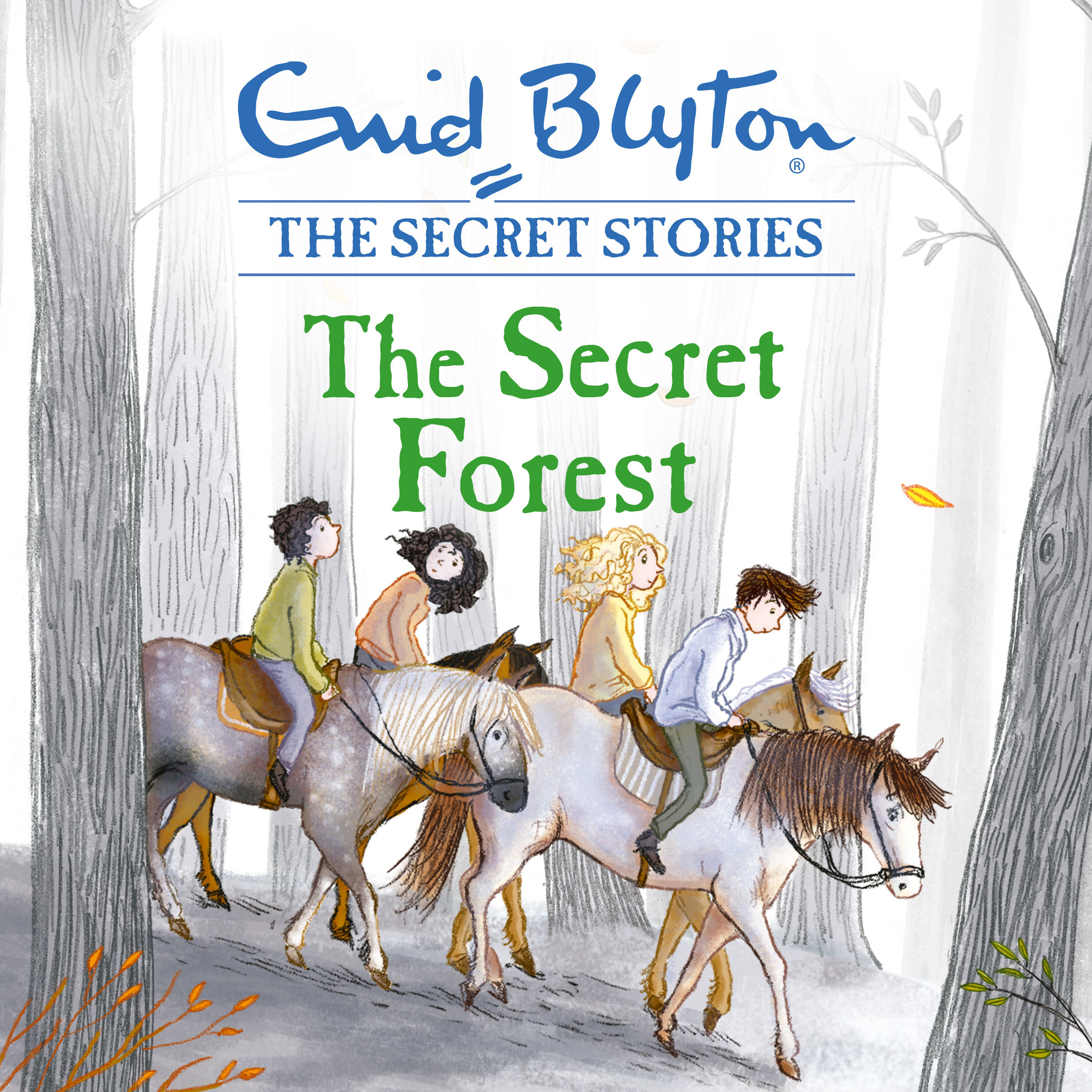 Wallpaper #r2fTEJMBSpphPi3-HPTq347 Secret Stories the Secret Forest Book 3 by Enid Blyton Books