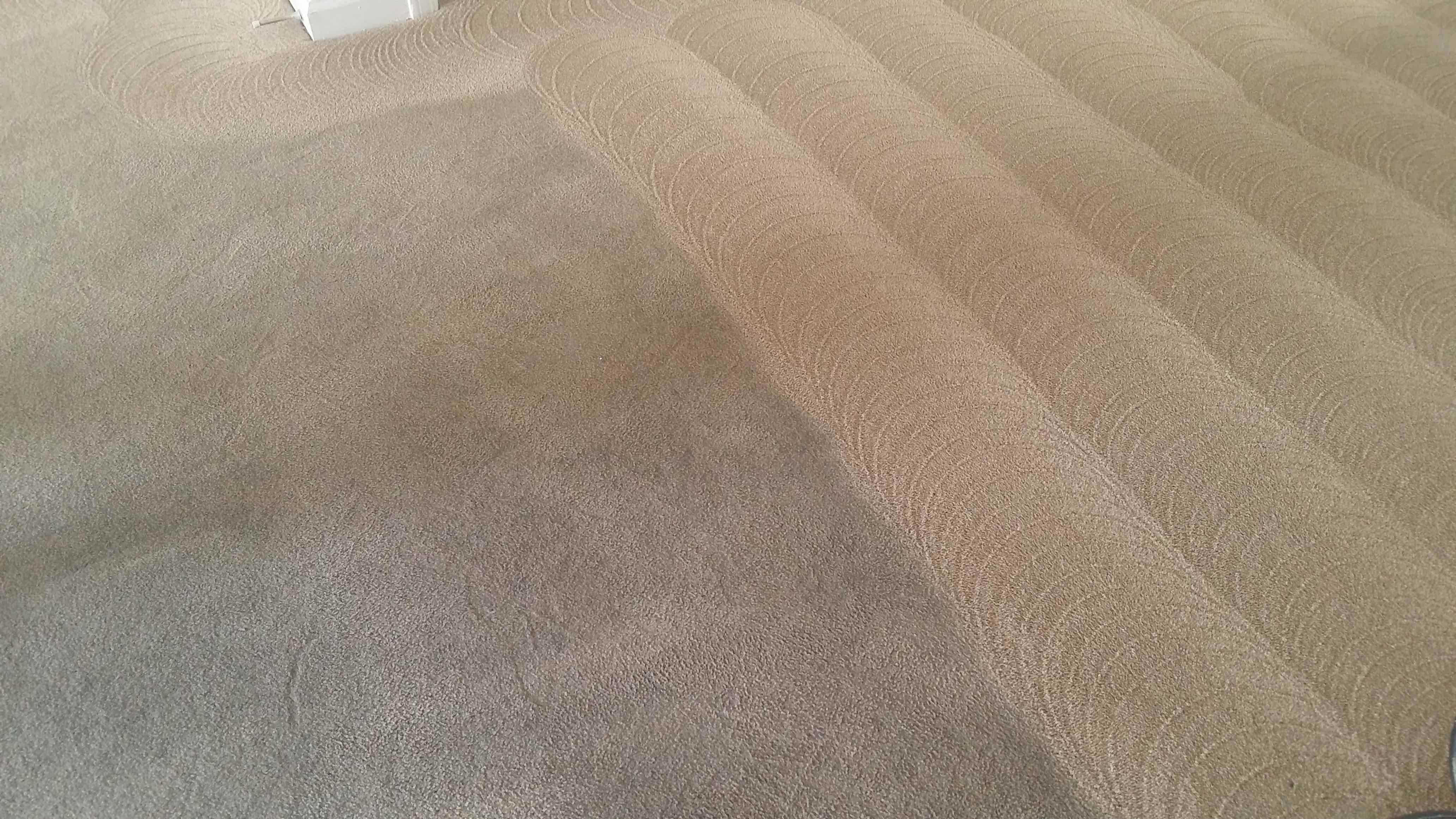 Wallpaper #aGjMFZMBSpphPi3-GAlH269 Sci Tech Carpet Cleaning Get Clean Carpets Today
