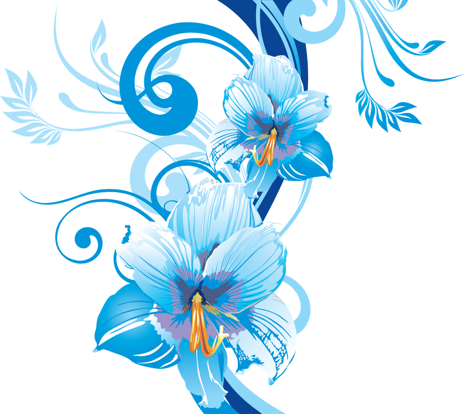 Wallpaper #Brh_2pIBJvJKYCmEEPI446 Download Photo Background Vector Png