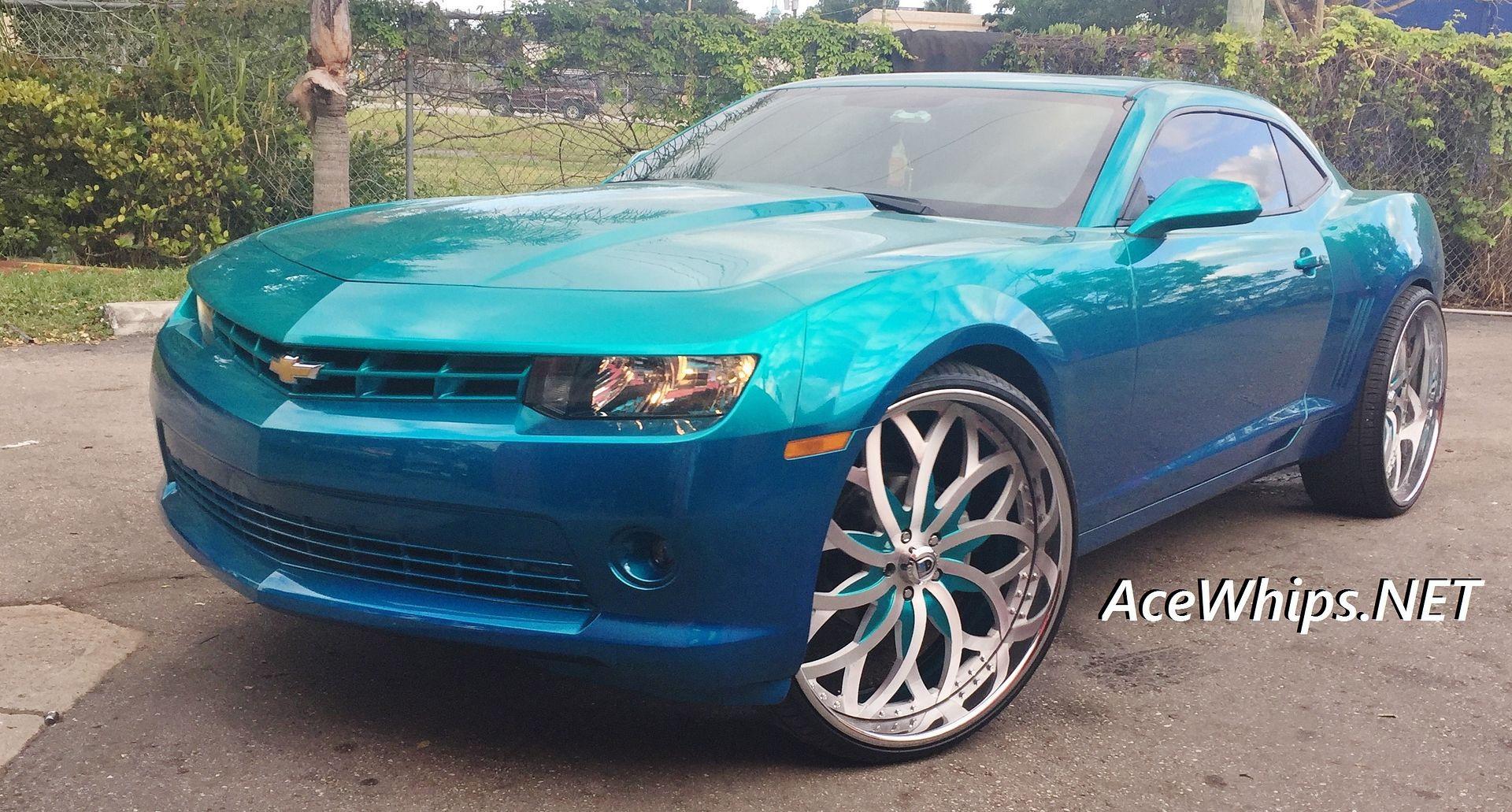 Wallpaper #hP8ebJMB3lSXT3zUs-mg353 Ace 1 Candy Teal 2014 Chevy Camaro on 26s Asantis