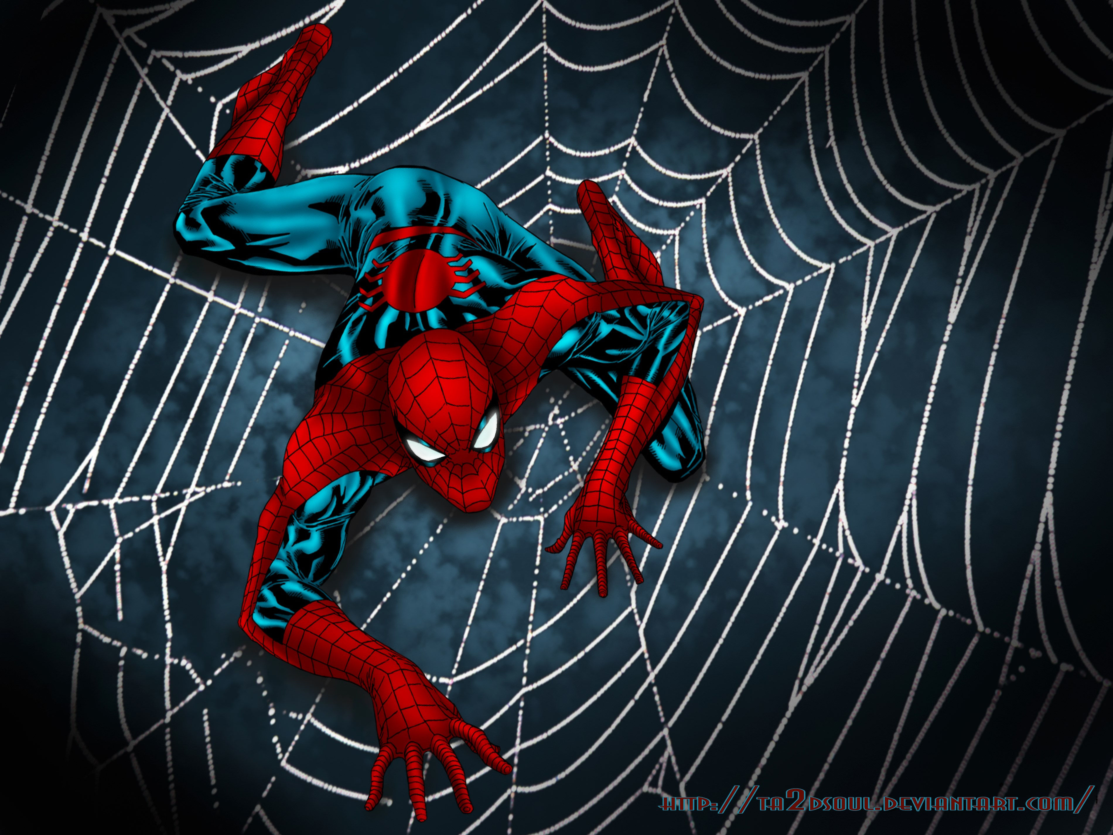 Wallpaper #230Y8o4Bnwiau_P6eAp120 Spiderman Crawling on a Web 3800x2850 Wallpaper Teahubio