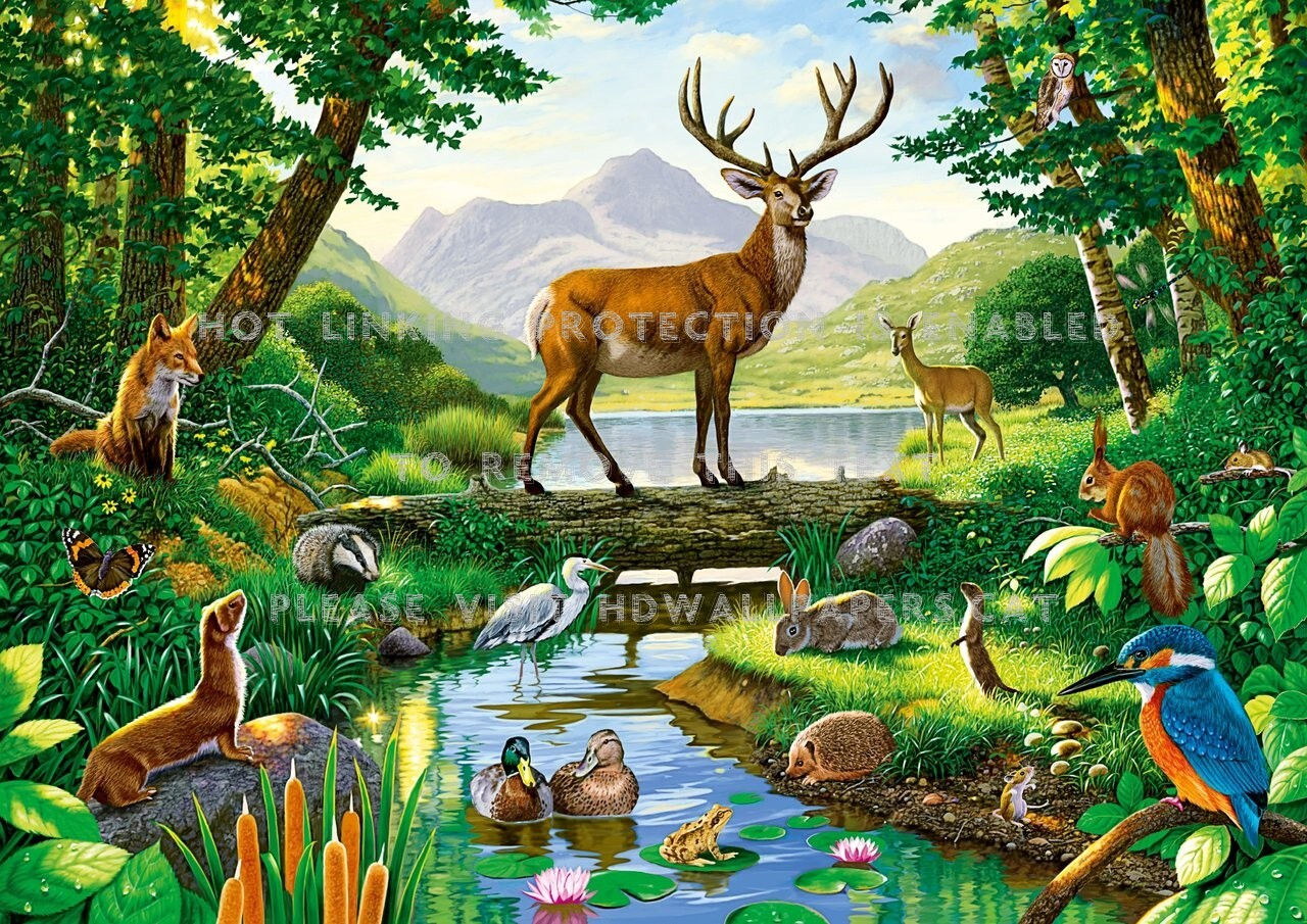 Wallpaper #lGcDC5MBSpphPi3-T9ct300 Top 128 Forest and Animals Drawing Inoticianet