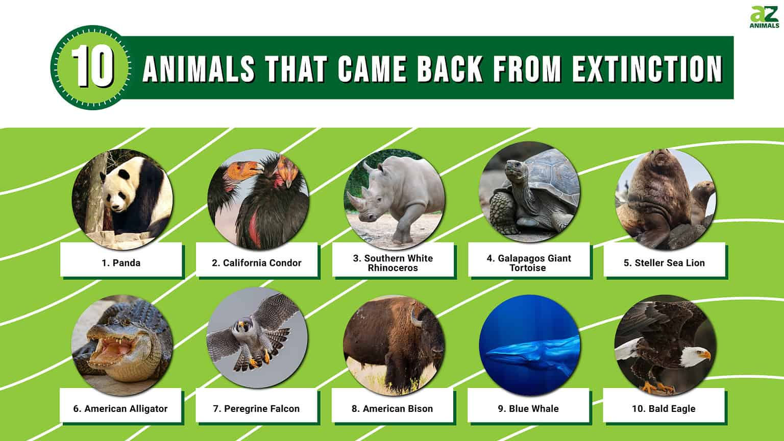 Wallpaper #Yh2rLJMBlOZrFDOkw8sX277 Extinct Animals That Came Back 2024 Gladys Courtney