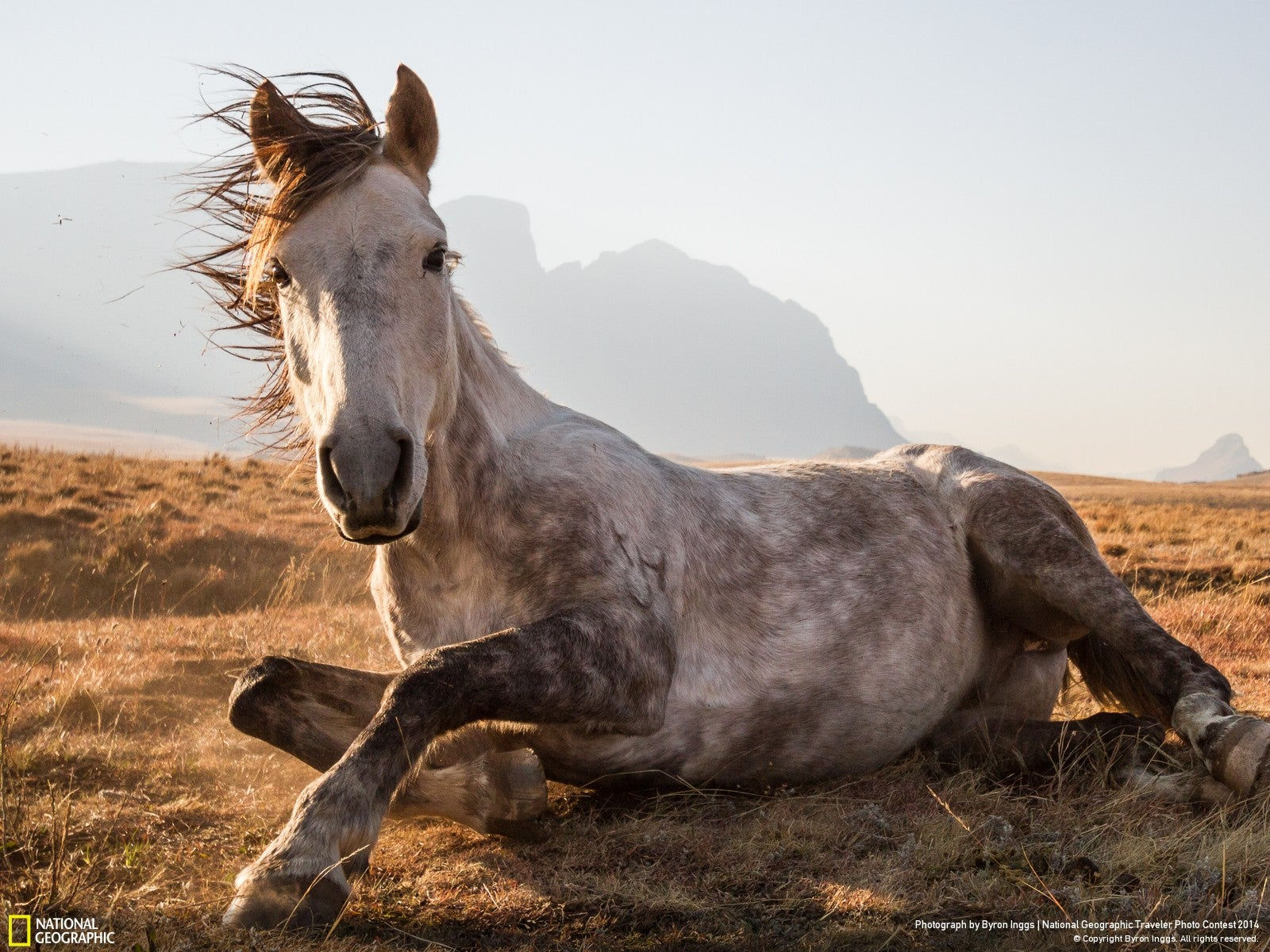Wallpaper #uh25LJMBlOZrFDOkessc174 The Winners of the National Geographic Photo Contest Are Unreal