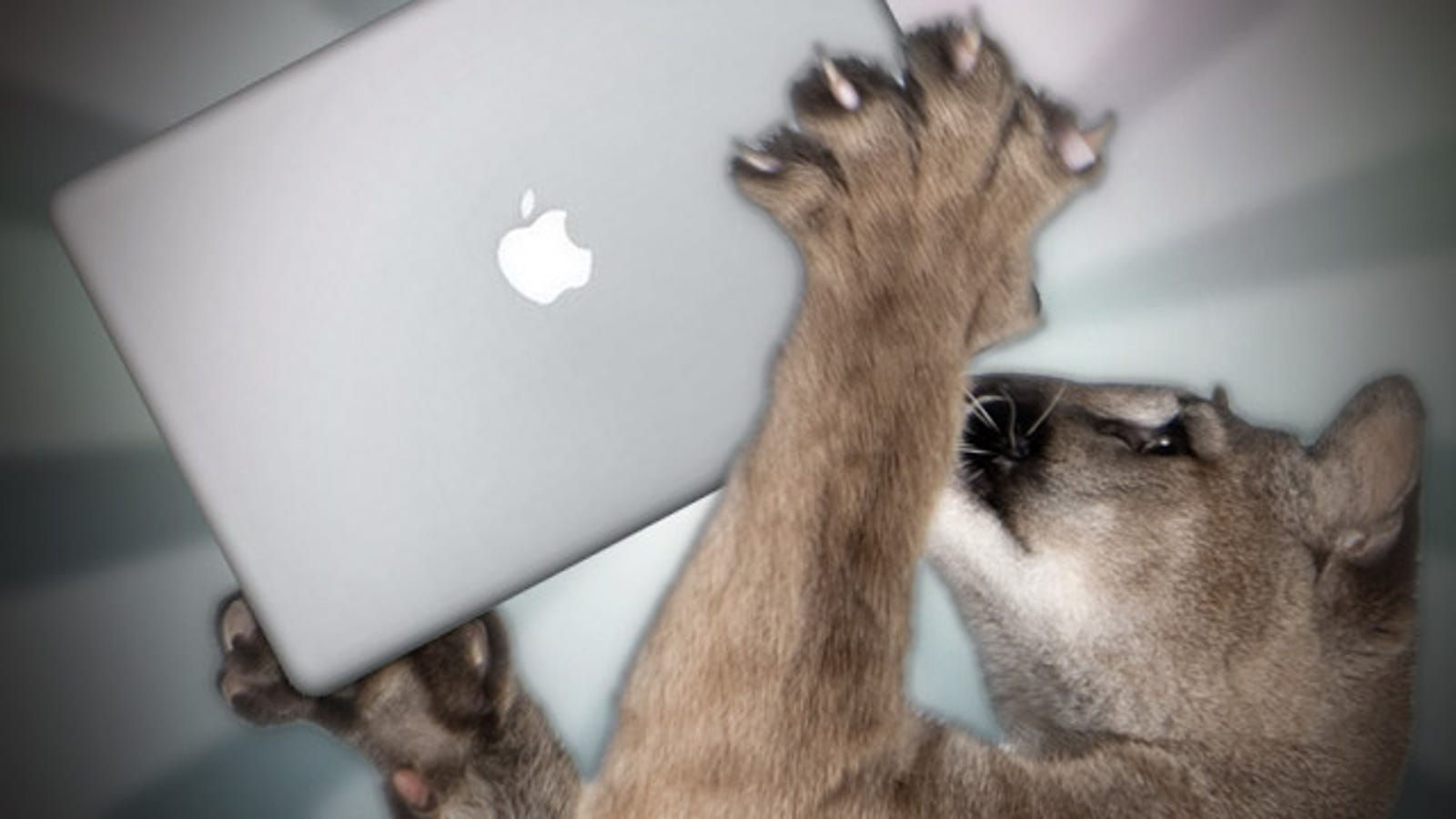 Wallpaper #Sz-jO5MBLiIJ4c9Oy4-H291 How to Prepare Your Mac for Mountain Lion