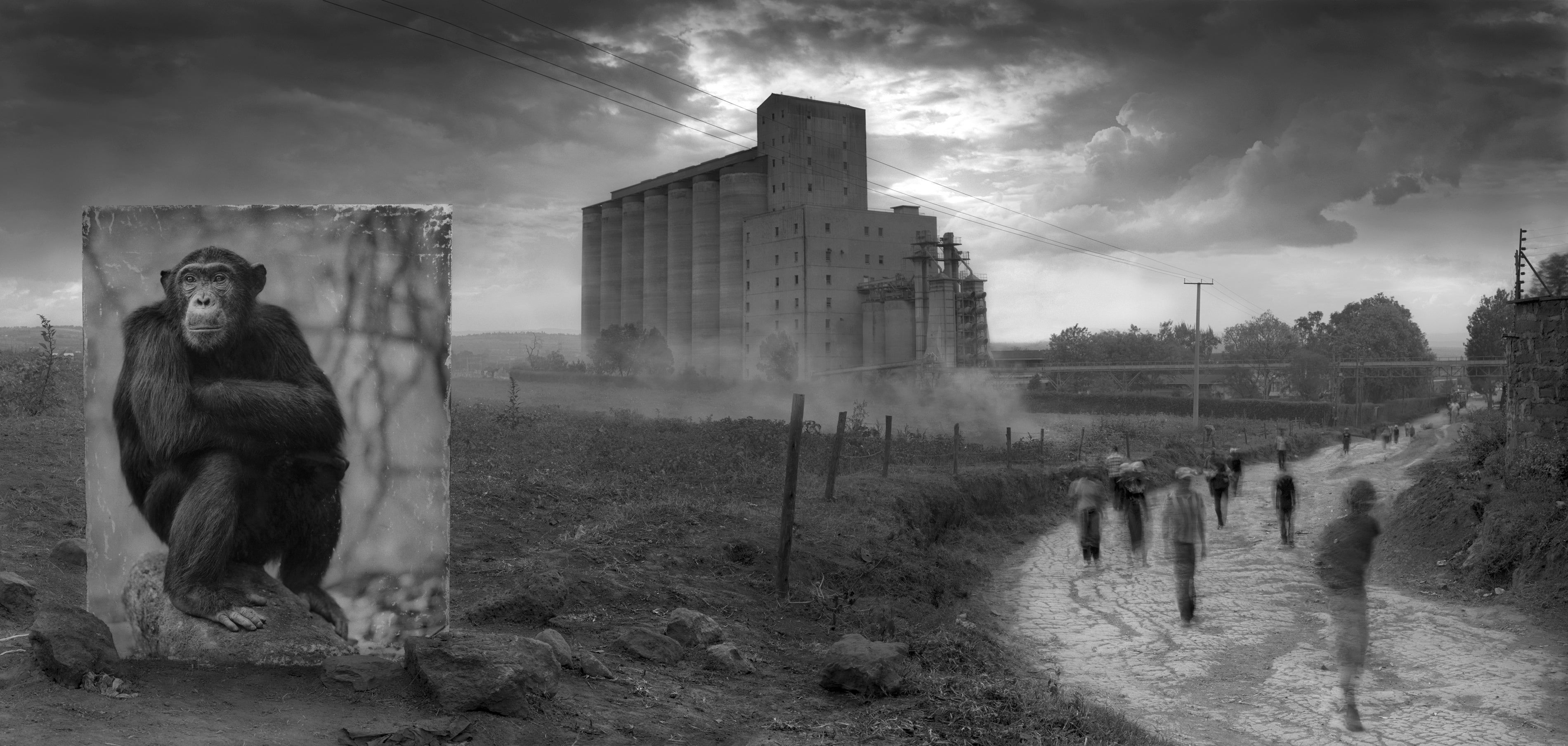 Wallpaper #NWcH9pIBSpphPi3-kYJt206 Harrowing Photographs Depict East Africas Dystopian Future Gizmodo