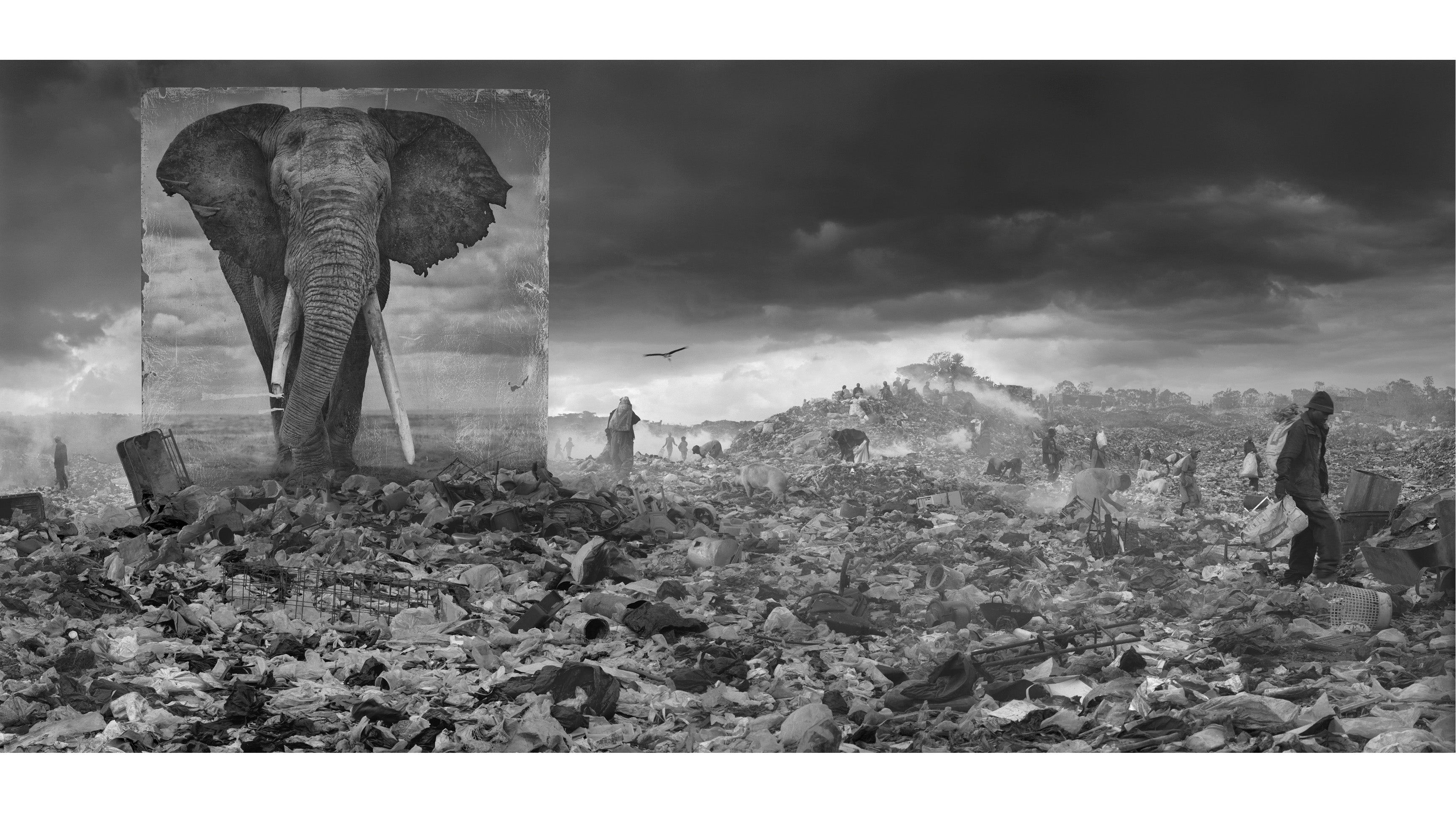 Wallpaper #3WgGIJMBSpphPi3-UCyv362 Harrowing Photographs Depict East Africas Dystopian Future Gizmodo