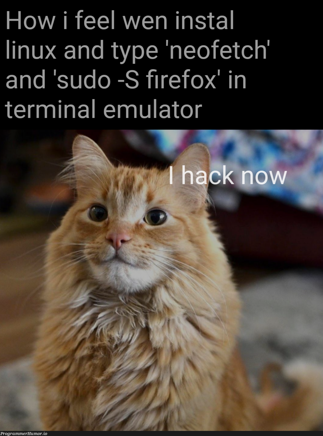 Wallpaper #gmd5BpMBSpphPi3-xMGw178 I Will Hack Your Coffemaker Programmerhumorio