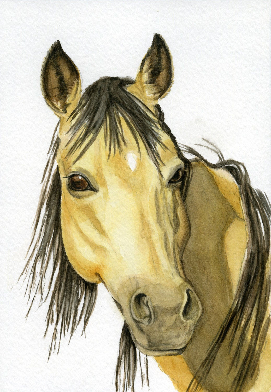 Wallpaper #Mn1i8I4Bnwiau_P63Abi48 Mustang Horse Painting 5x7 Print from Original Watercolor