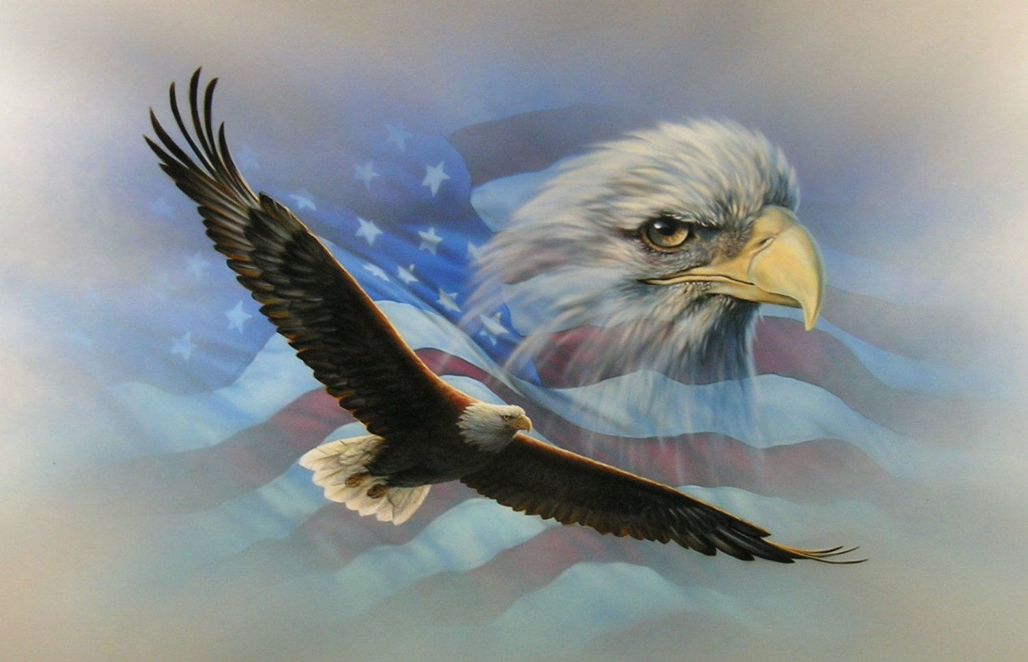 Wallpaper #6ef95 11209 Gier Eagle Images Stock Photos Vectors Shutterstock