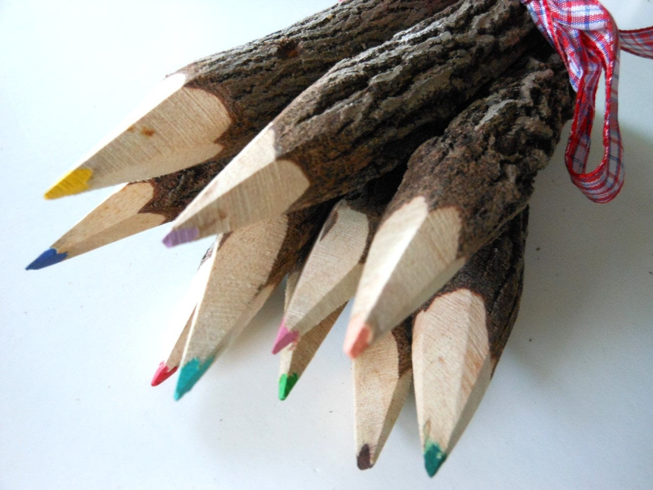 Wallpaper #BWgvFZMBSpphPi3-Zwec225 Tree Branch Pencils 10 Colored Pencils 7 by Blythhousecreations