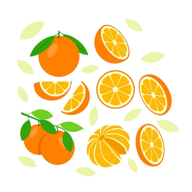 Wallpaper #_wM6Y5MBpyOg8YnEo9Sb323 Premium Vector Orange Fruit Elements Abstract Vector Design