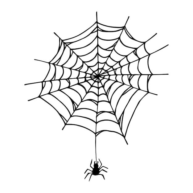 Wallpaper #cGgHF5MBSpphPi3-TQ0z296 Premium Vector Simple Hand Drawn Spider Web Illustration Cute