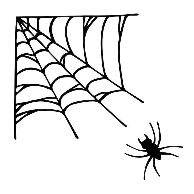 Wallpaper #cGgHF5MBSpphPi3-TQ0z161 Premium Vector Simple Hand Drawn Spider Web Illustration Cute