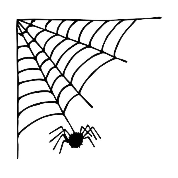 Wallpaper #52dP85IBSpphPi3-BnRA494 Spider Web Clipart Transparent