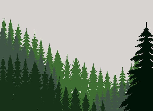 Wallpaper #gXfEJ5MB-pgBXx60hqcW212 Premium Vector Silhouette Forest Nature Green Design Vector Isolated