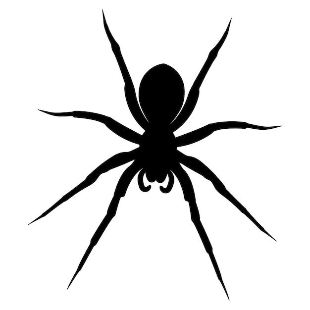 Wallpaper #RPS3OZMBKFX8bn3r6ncE203 Premium Vector Silhouette of Black Spiderspider Close Upvector