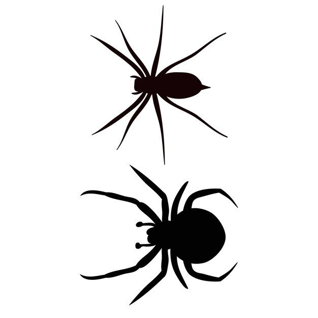 Wallpaper #71bf1 Pin by Kayleigh on Spider Drawings in 2024 Spiderman Drawing