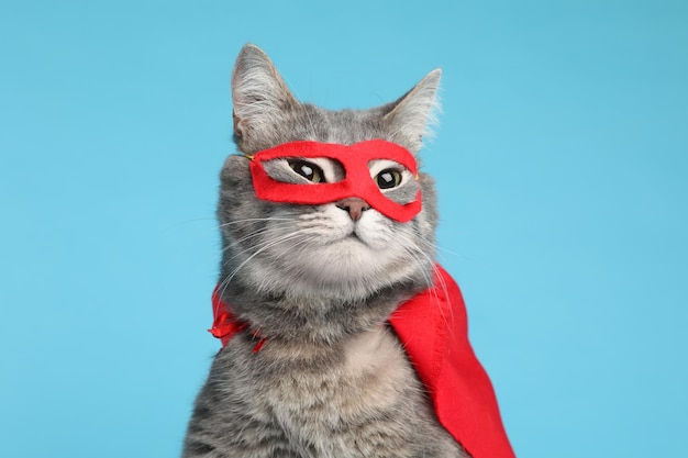 Wallpaper #YWfCDJMBSpphPi3-L-BK322 Premium Photo Adorable Cat in Red Superhero Cape and Mask on Light