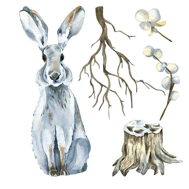 Wallpaper #lGcDC5MBSpphPi3-T9ct94 Premium Photo Set of Hare and Forest Plants Watercolor Illustration