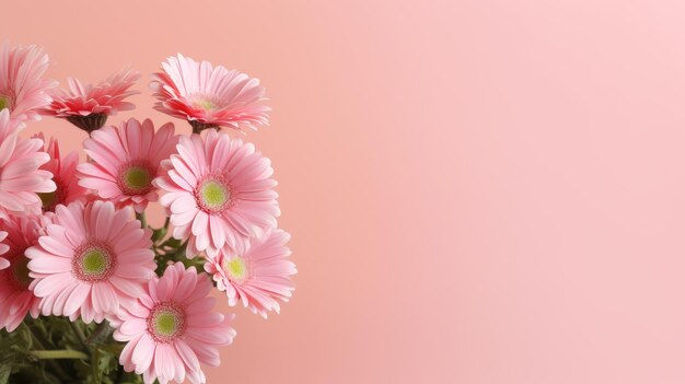 Wallpaper #3mhXIpMBSpphPi3-4TKc261 Premium Photo Beautiful Daisies with Pink Background